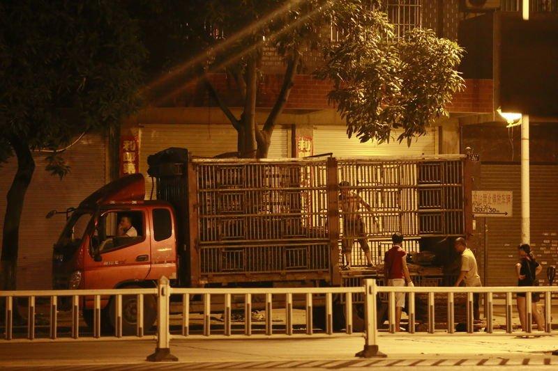 Çin'de köpek yeme festivali yapıldı