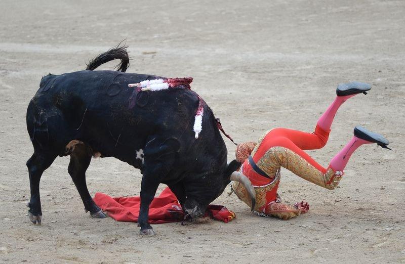 İspanya'da boğa güreşi düzenlendi