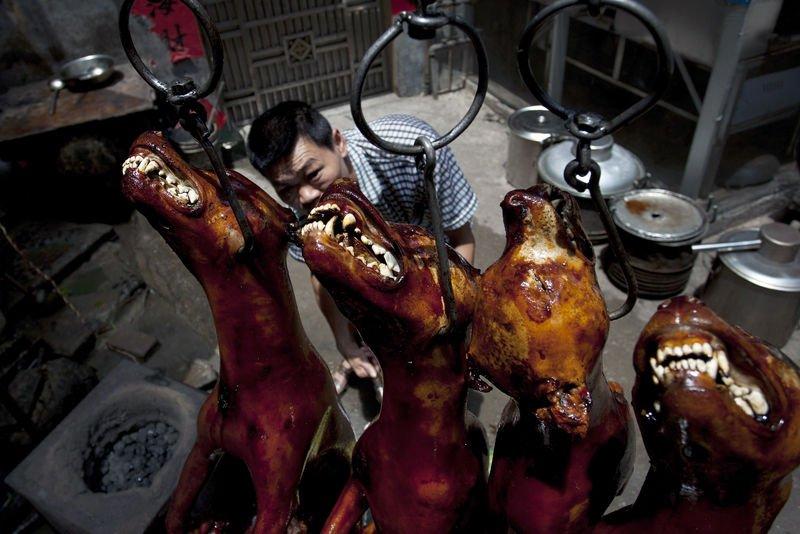 Çin'de köpek yeme festivali yapıldı