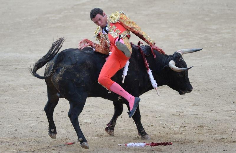 İspanya'da boğa güreşi düzenlendi