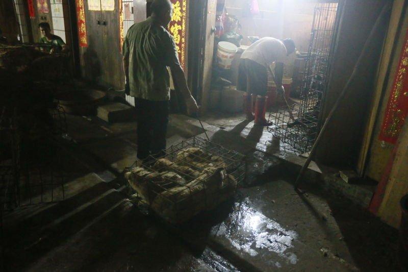 Çin'de köpek yeme festivali yapıldı