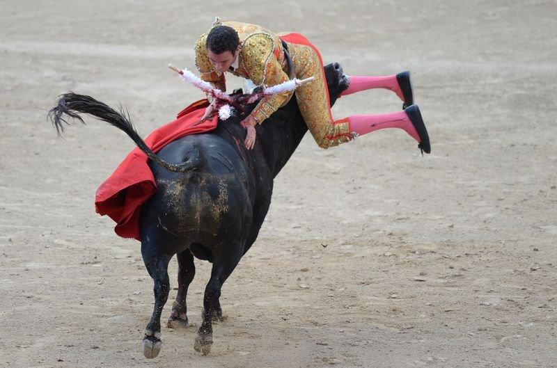 İspanya'da boğa güreşi düzenlendi