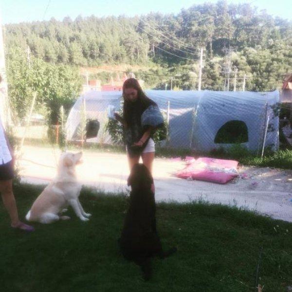 Ünlülerin objektifinden 24 Haziran Instagram paylaşımları 