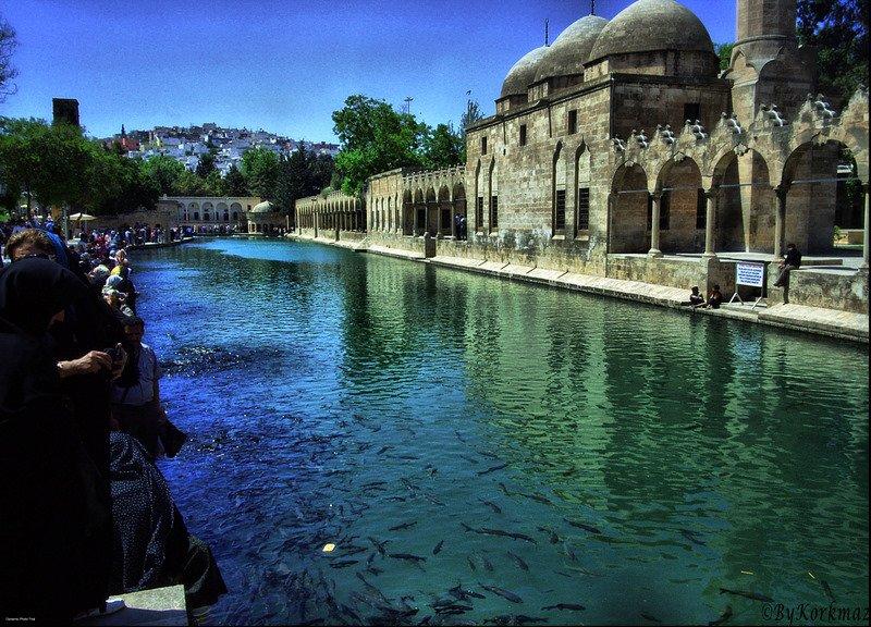 Her ilin kendine has simgeleri var 