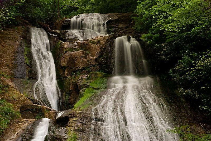 Her ilin kendine has simgeleri var 