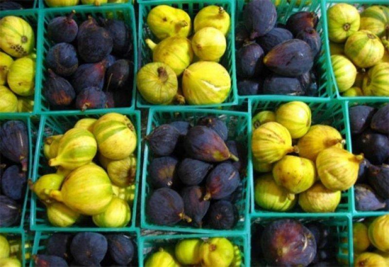 Her ilin kendine has simgeleri var 