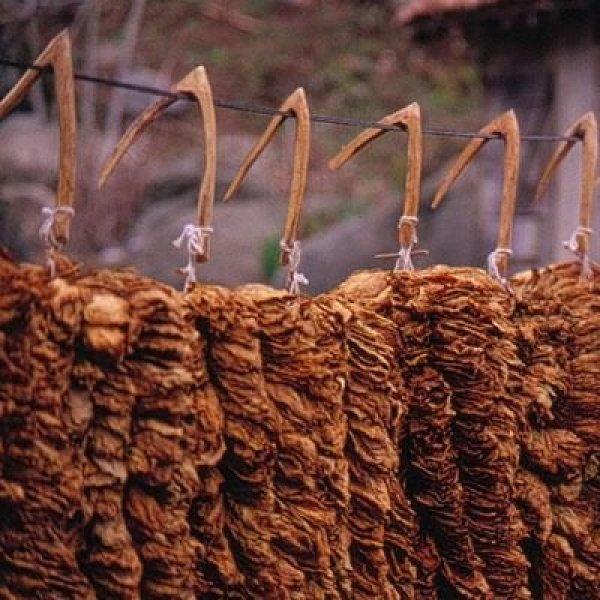 Her ilin kendine has simgeleri var 