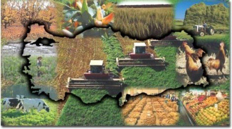 Her ilin kendine has simgeleri var 