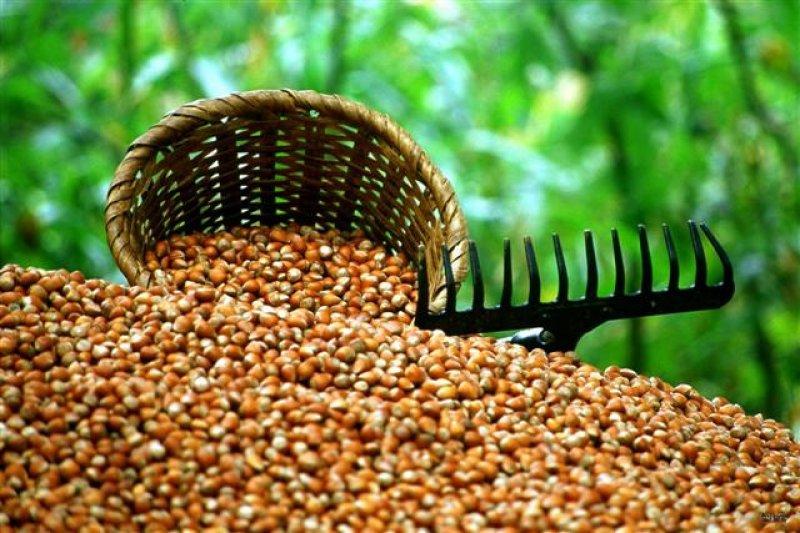 Her ilin kendine has simgeleri var 