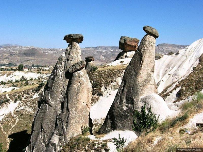 Her ilin kendine has simgeleri var 