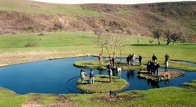 Her ilin kendine has simgeleri var 