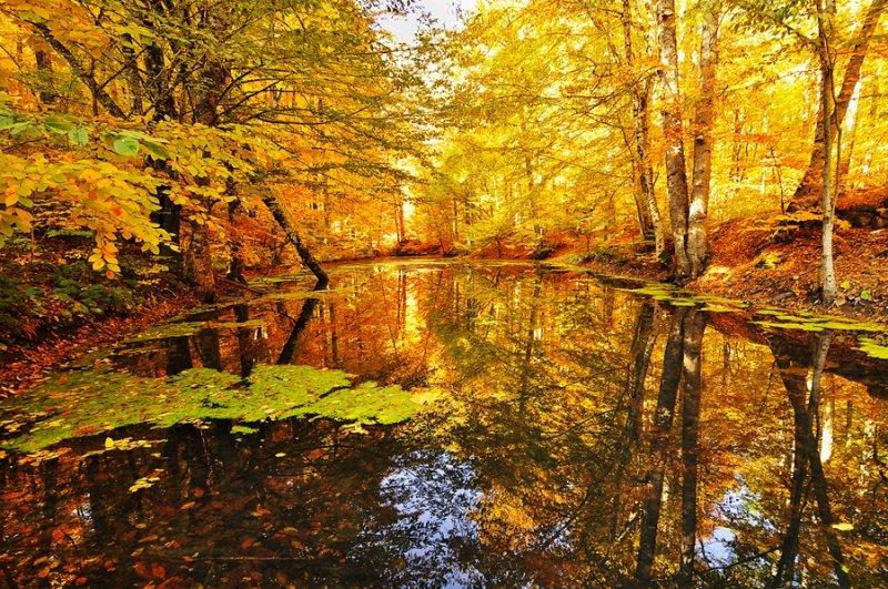 Her ilin kendine has simgeleri var 