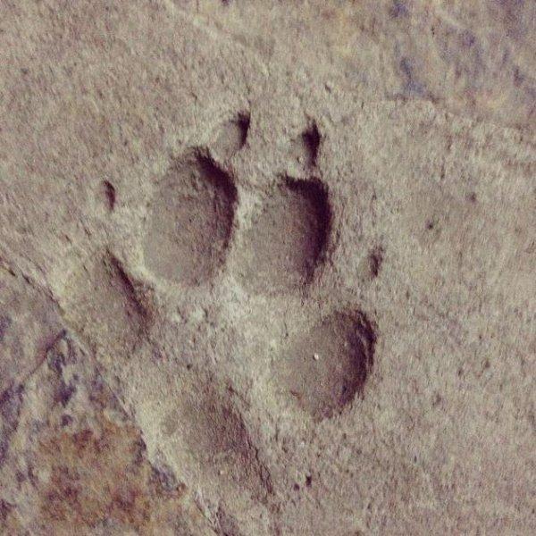 Ünlülerin objektifinden 26 Haziran Instagram paylaşımları 