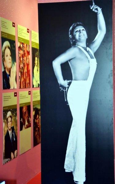 Bodrum'da Zeki Müren sergisi açıldı 