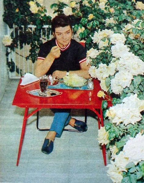 Bodrum'da Zeki Müren sergisi açıldı 