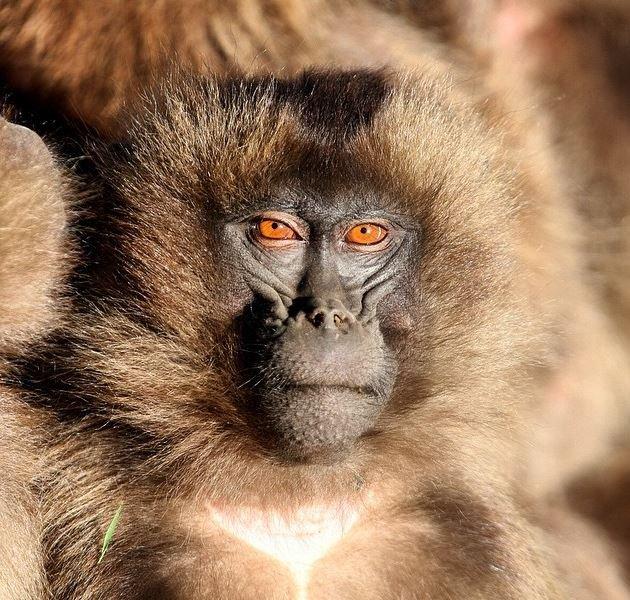 Ünlülerin objektifinden 2 Temmuz Instagram paylaşımları 