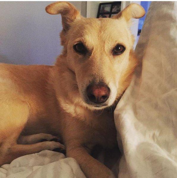 Ünlülerin objektifinden 3 Temmuz Instagram paylaşımları 