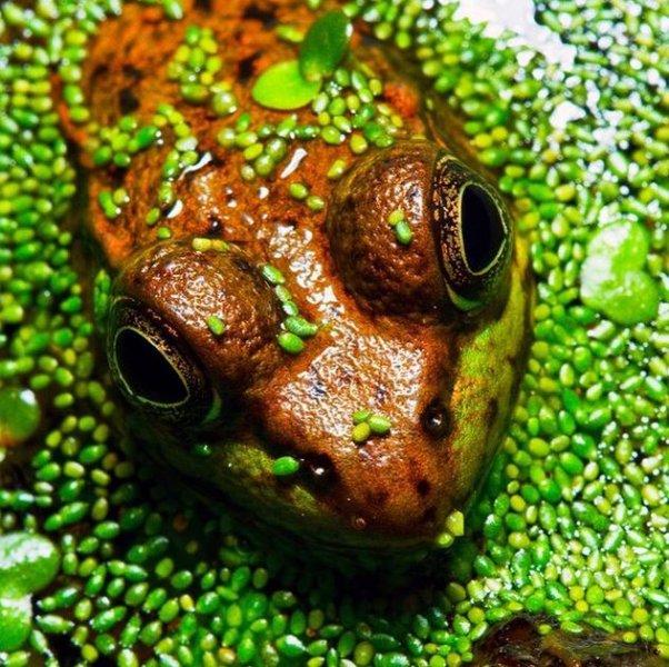 Dünyanın farklı yerlerinden fotoğraflar
