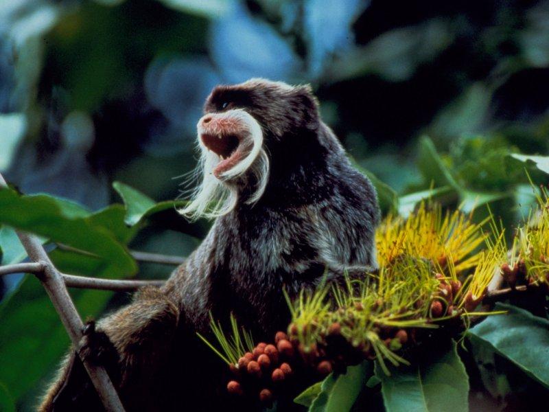 Dünyanın farklı yerlerinden fotoğraflar