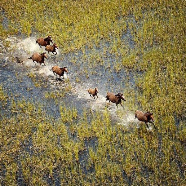 Dünyanın farklı yerlerinden fotoğraflar