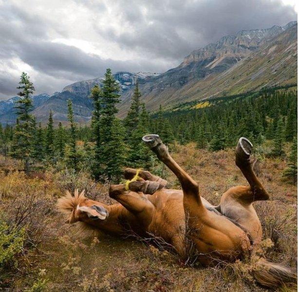 Dünyanın farklı yerlerinden fotoğraflar