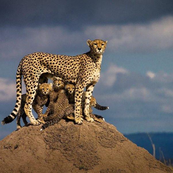 Dünyanın farklı yerlerinden fotoğraflar