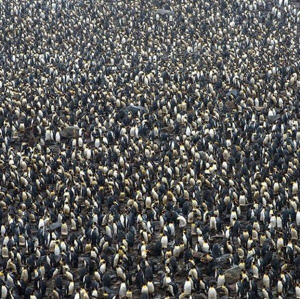 Dünyanın farklı yerlerinden fotoğraflar