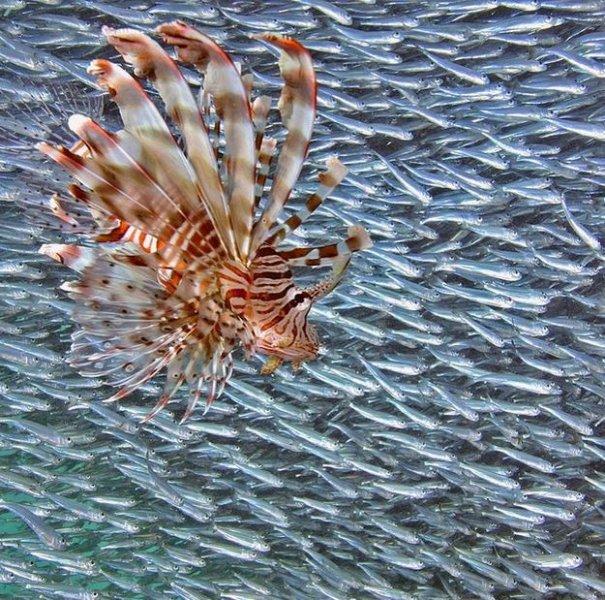 Dünyanın farklı yerlerinden fotoğraflar