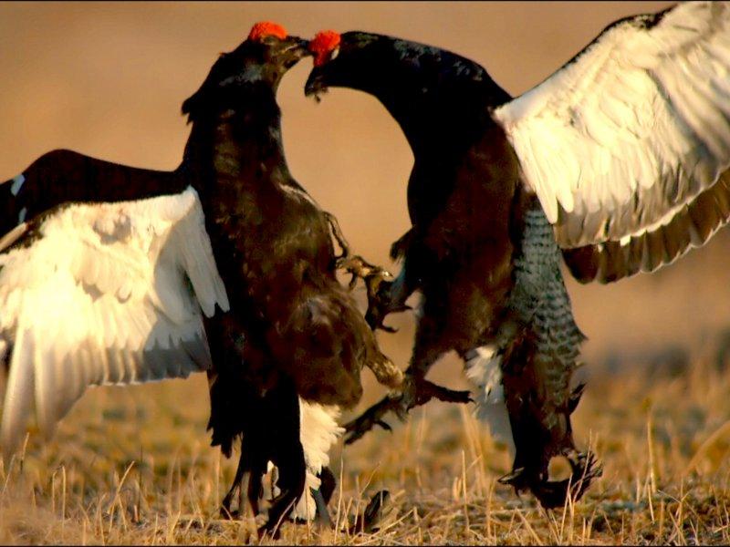 Dünyanın farklı yerlerinden fotoğraflar