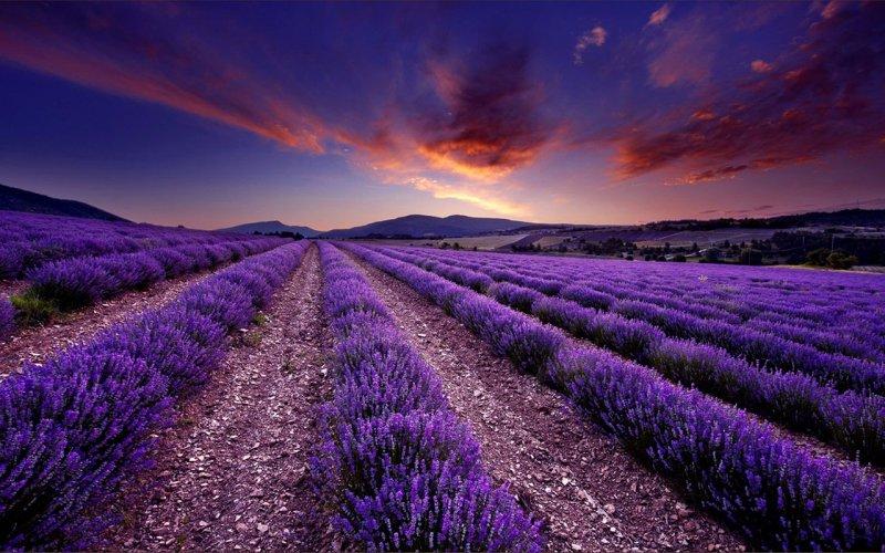 Dünyanın farklı yerlerinden fotoğraflar