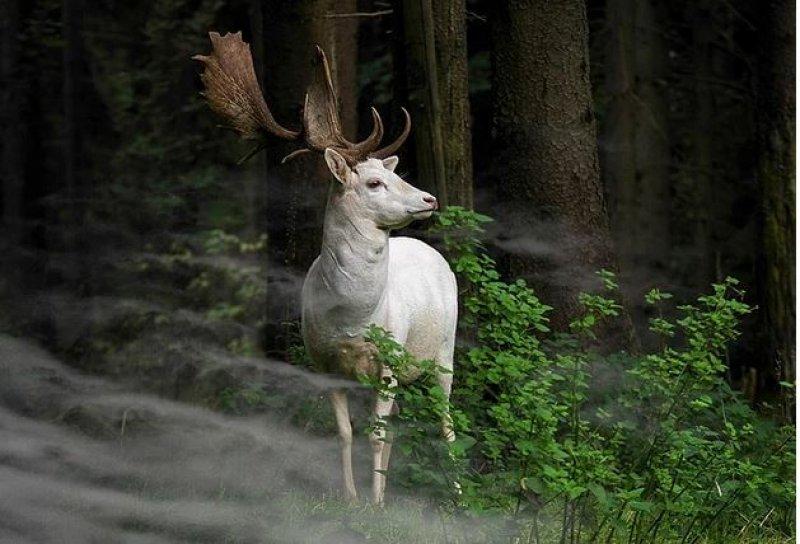 Dünyanın farklı yerlerinden fotoğraflar
