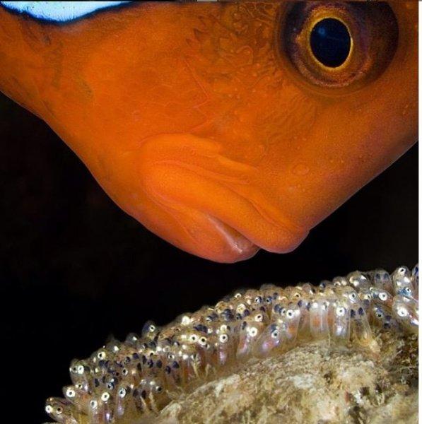 Dünyanın farklı yerlerinden fotoğraflar