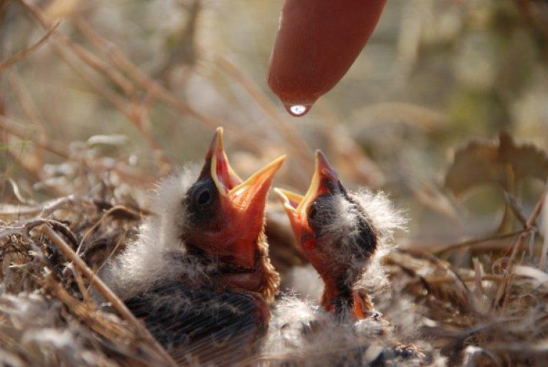 Dünyanın farklı yerlerinden fotoğraflar