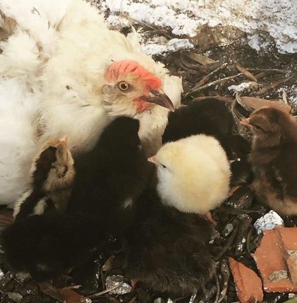 Ünlülerin objektifinden 9 Temmuz Instagram paylaşımları 