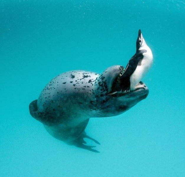 Dünyanın farklı yerlerinden fotoğraflar