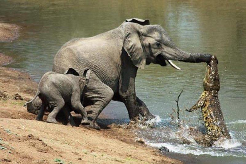 Dünyanın farklı yerlerinden fotoğraflar