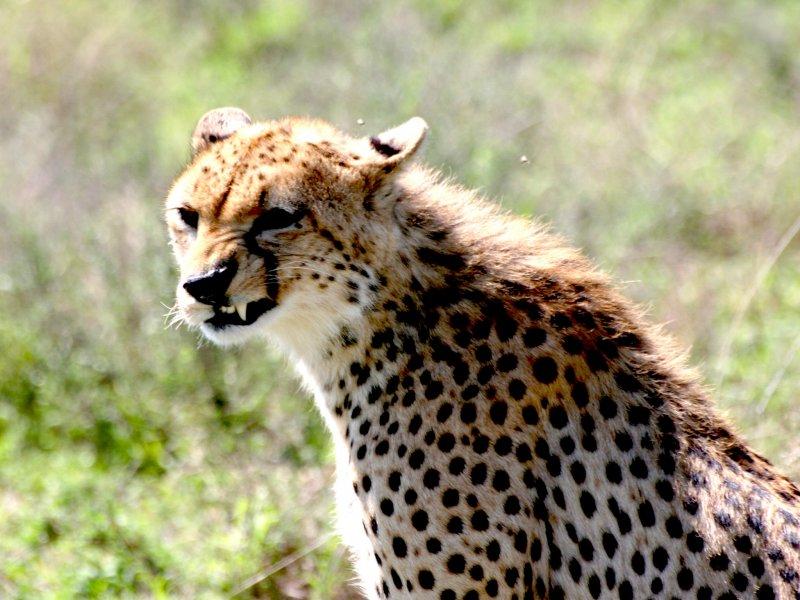 Dünyanın farklı yerlerinden fotoğraflar