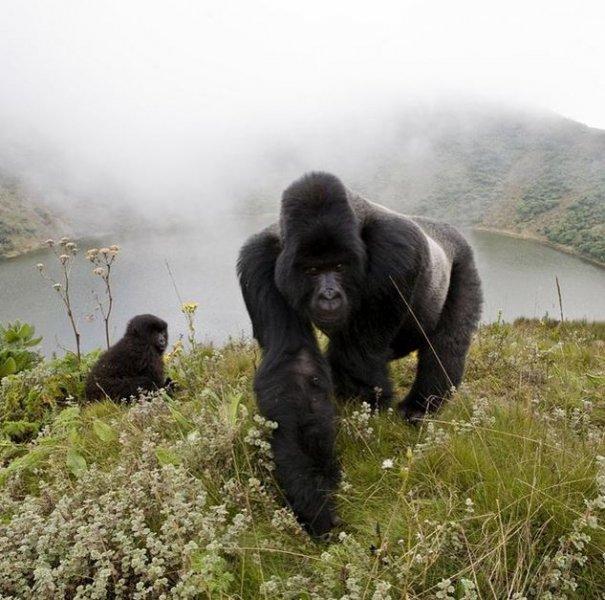Dünyanın farklı yerlerinden fotoğraflar