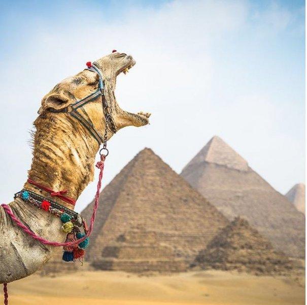 Dünyanın farklı yerlerinden fotoğraflar