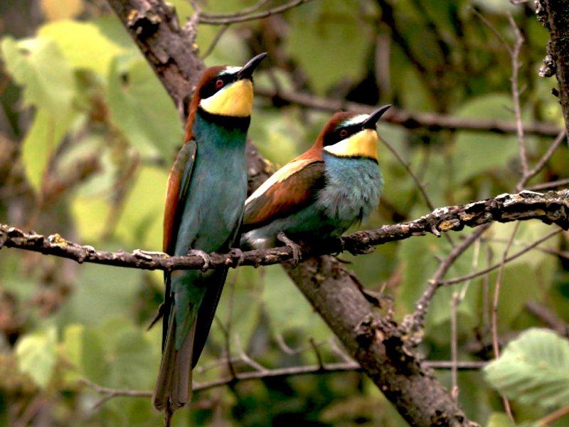 Dünyanın farklı yerlerinden fotoğraflar