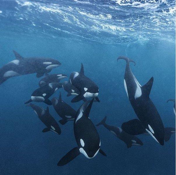 Dünyanın farklı yerlerinden fotoğraflar