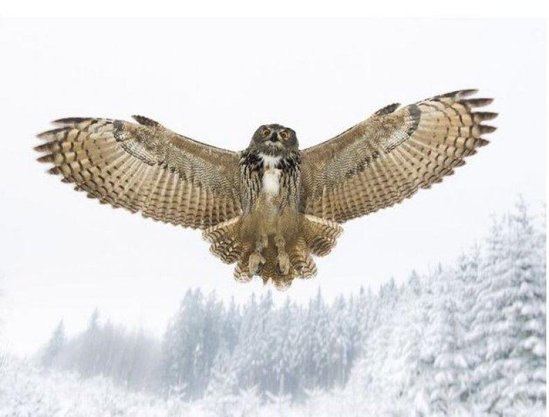 Dünyanın farklı yerlerinden fotoğraflar