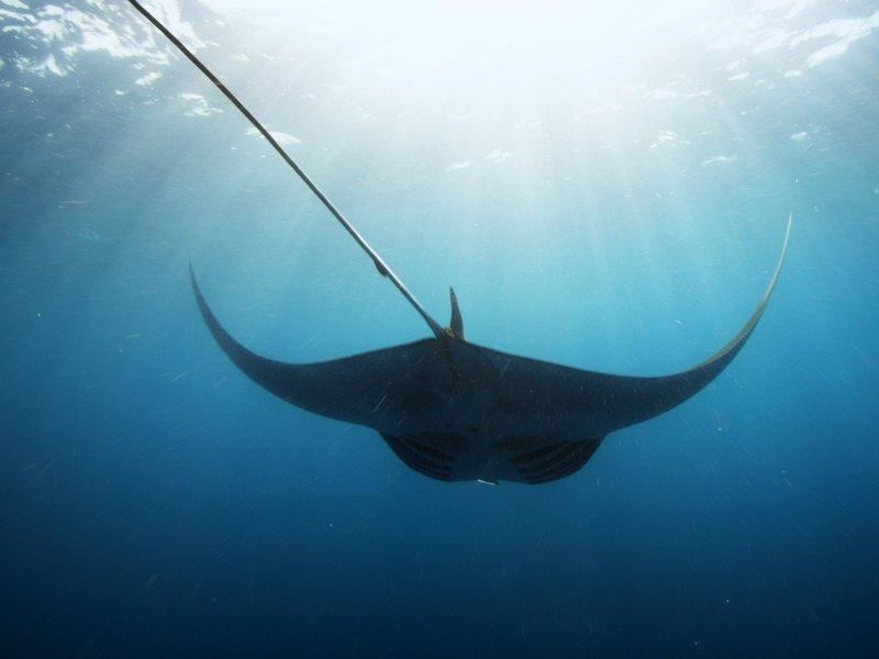 Dünyanın farklı yerlerinden fotoğraflar