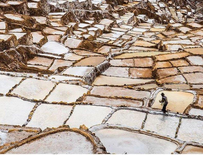 Dünyanın farklı yerlerinden fotoğraflar