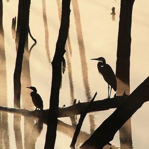 Dünyanın farklı yerlerinden fotoğraflar