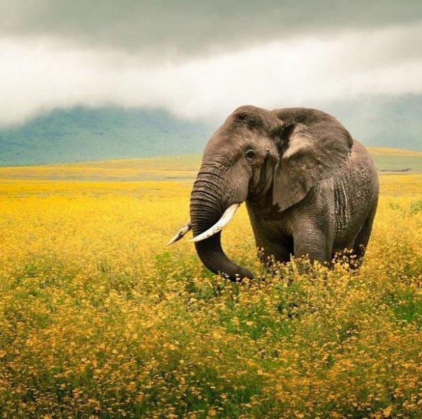 Dünyanın farklı yerlerinden fotoğraflar