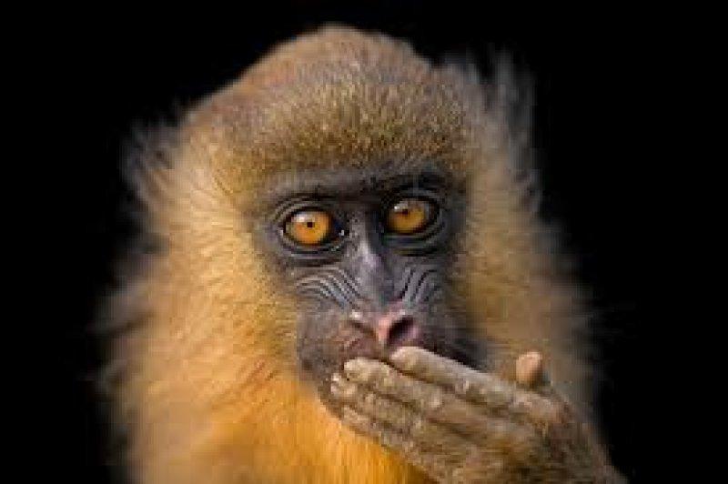 Dünyanın farklı yerlerinden fotoğraflar