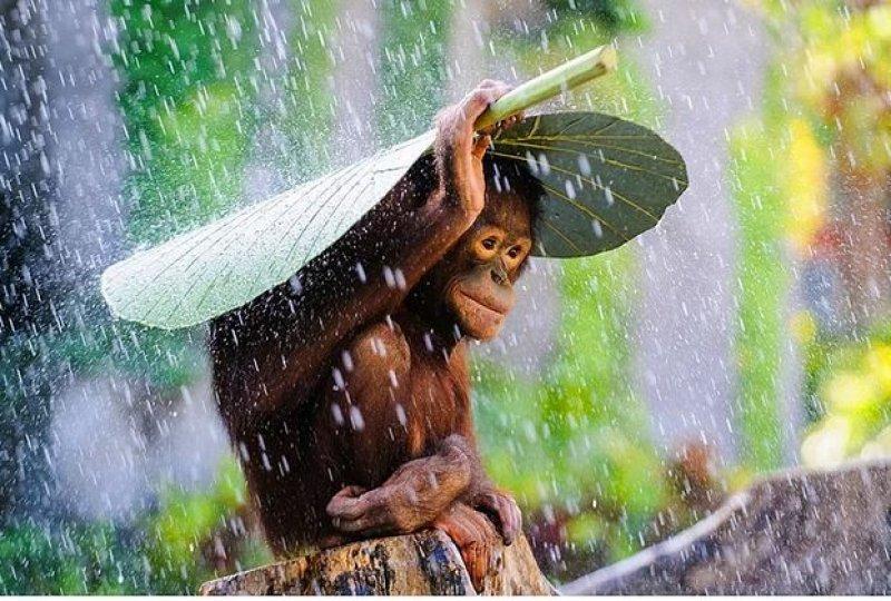 Dünyanın farklı yerlerinden fotoğraflar