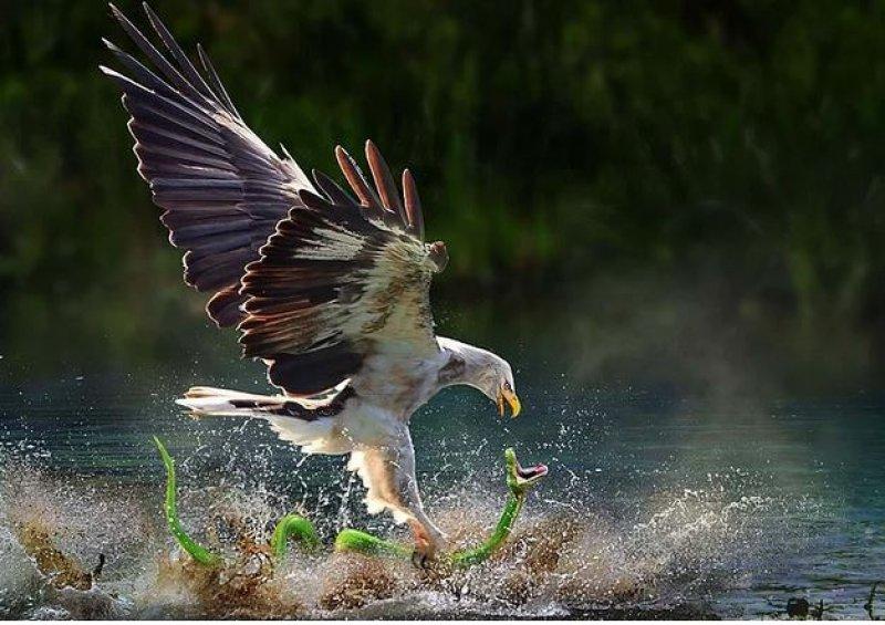 Dünyanın farklı yerlerinden fotoğraflar