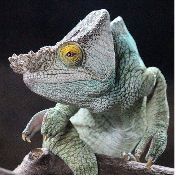 Dünyanın farklı yerlerinden fotoğraflar